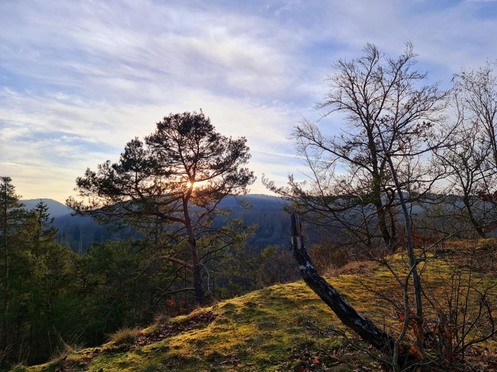 Ferienhaus Schoene Aussicht Ferienwohnung Rot Hemfurth-Edersee Buitenkant foto